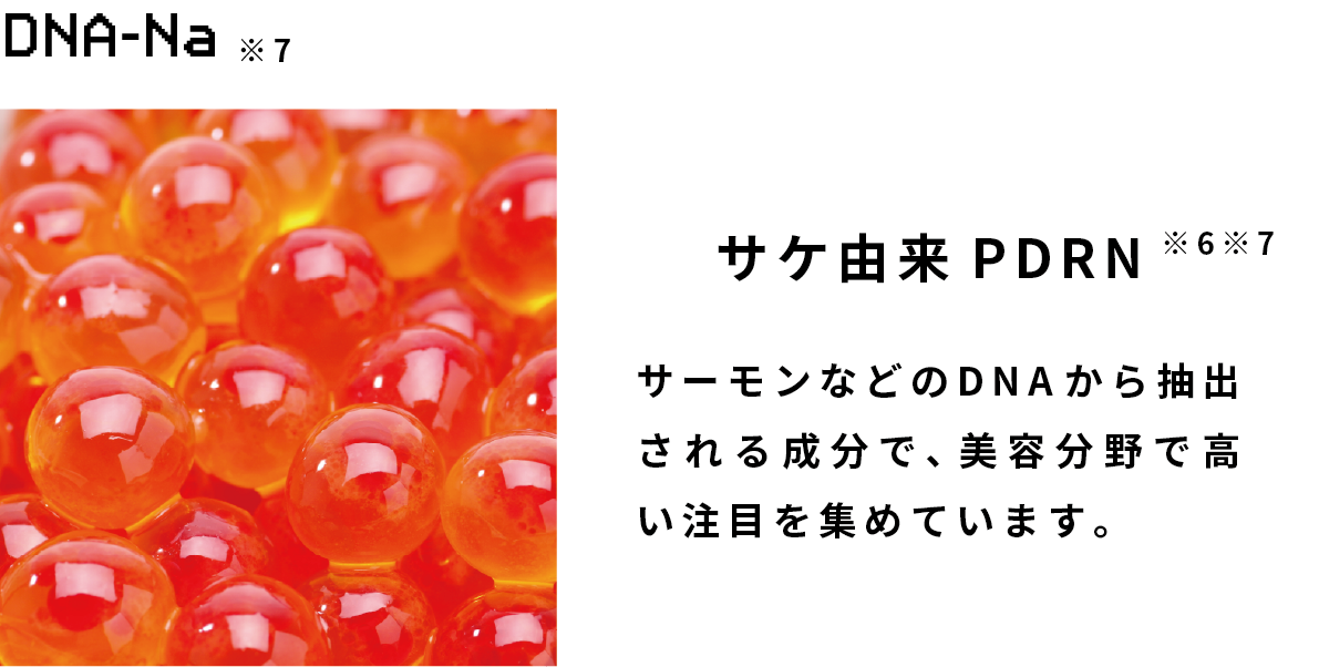 サケ由来PDRN