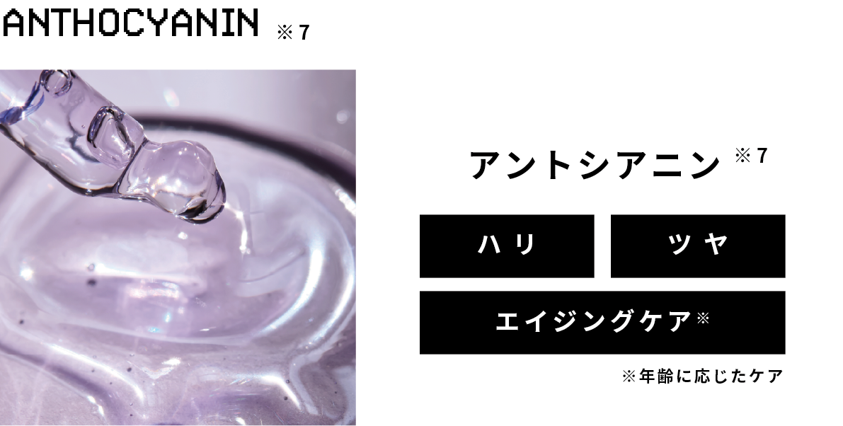 アントシアニン