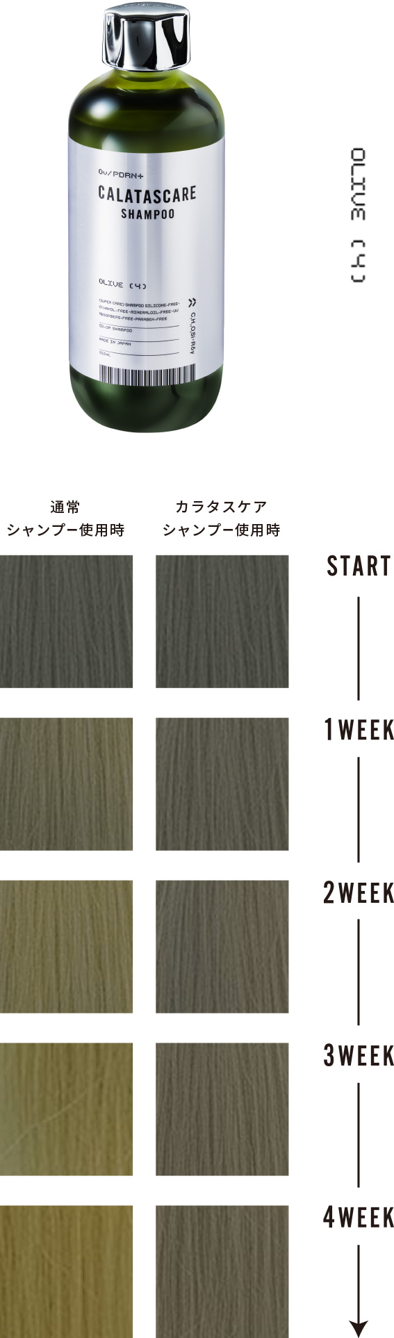 カラタスケアカラーシャンプーOv