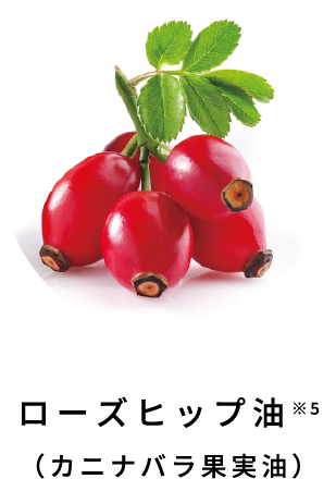 ローズヒップ油