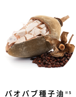 バオバブ種子油