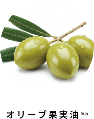 オリーブ果実油