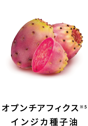 オプンチアフィクス<br>インジカ種子油オプンチアフィクス<br>インジカ種子油
